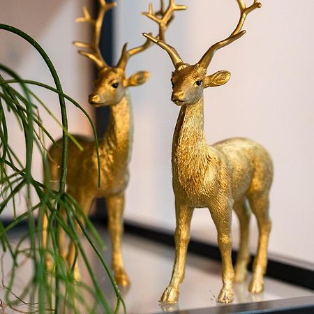 Apartament Zloty Jelonek - 4 Osobowy Na Placu Ratuszowym - Space Apart Jelenia Góra Eksteriør bilde